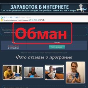 Программа для заработка в интернете — отзыв и обзор лохотрона