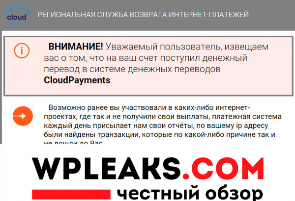 Региональная служба возврата интернет платежей. Реальные отзывы о nalogtoru.ru