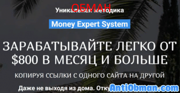 Money Expert System — курс по заработку. Отзывы и обзор