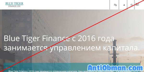 Blue Tiger Finance (tigeronefinance.com) — отзывы и обзор брокера