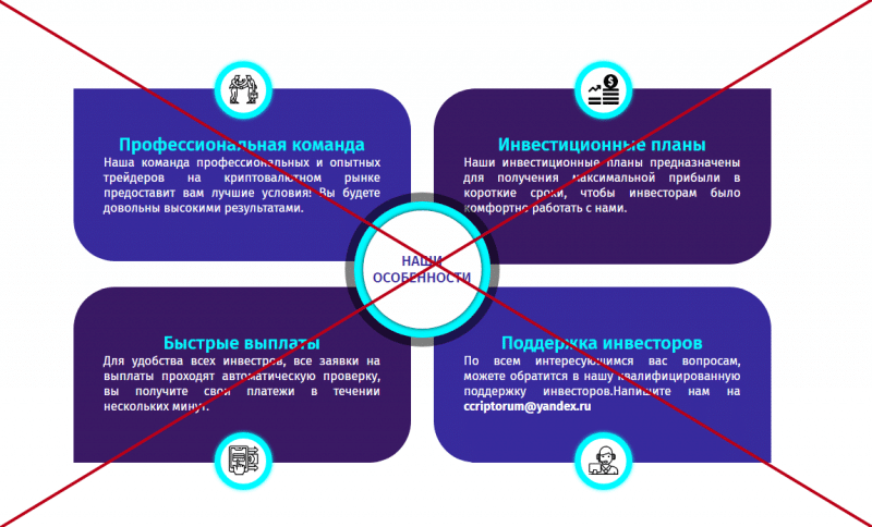 Criptorum: Отзывы и проверка инвестиционного проекта - Seoseed.ru
