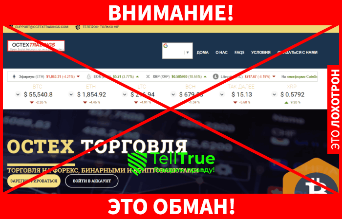 Octex Tradings – ценная находка для трейдеров или очередной скам-проект?