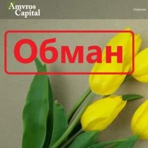 Amvros Capital: отзывы и обзор проекта amvroscapital.com - Seoseed.ru