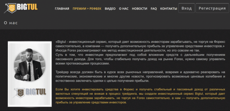Bigtul – инвестиции с большой прибылью. Проект платит?