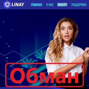 Linay: отзывы и проверка проекта (linay.org) - Seoseed.ru