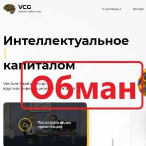 Venture Capital Group (myvcg.ru) — отзывы. Честный проект? - Seoseed.ru