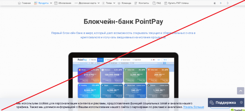 PointPay – Реальные отзывы о pointpay.io