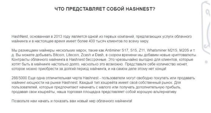 HASHNEST – платформа для выгодного облачного майнинга или потери денег?