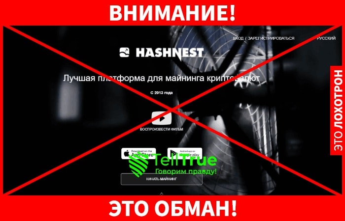 HASHNEST – платформа для выгодного облачного майнинга или потери денег?