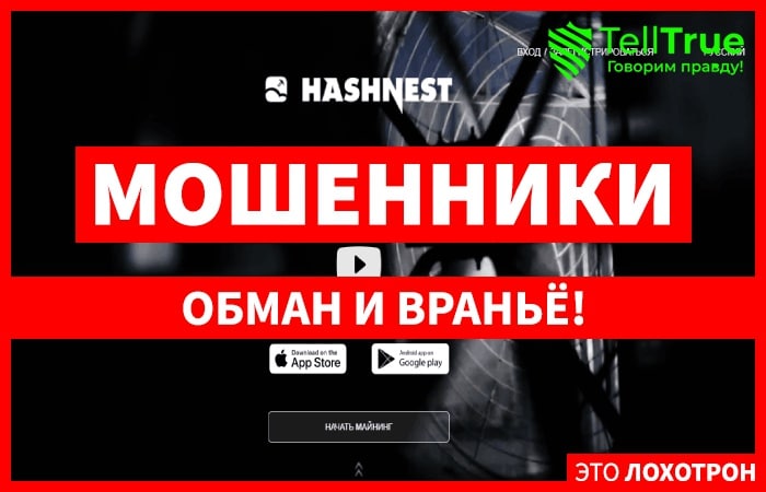 HASHNEST – платформа для выгодного облачного майнинга или потери денег?