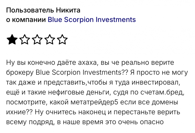 Blue Scorpion Investments