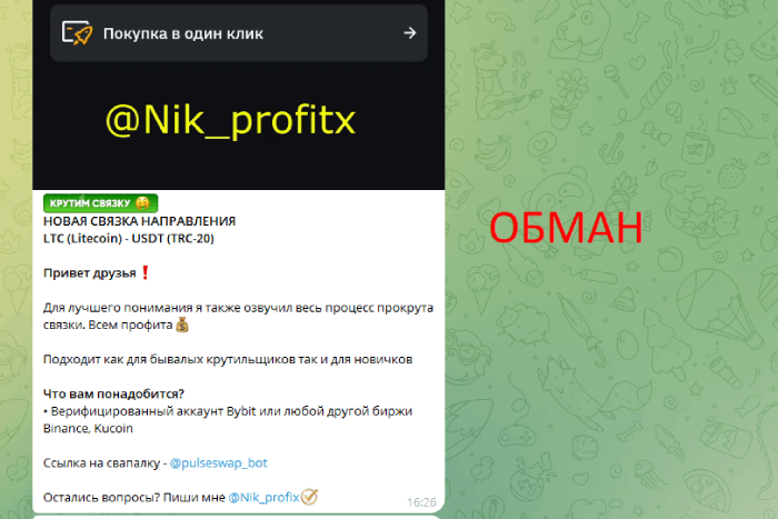 Profit-X | TEAM (@Nik_profix, @pulseswap_bot) разбор схемы обмана!