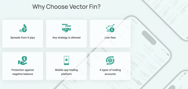 Vector Fin — отзывы и обзор брокера